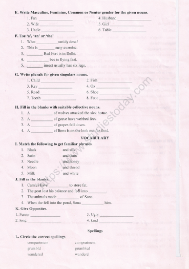 cbse class 3 english revision worksheet set 14 practice worksheet for